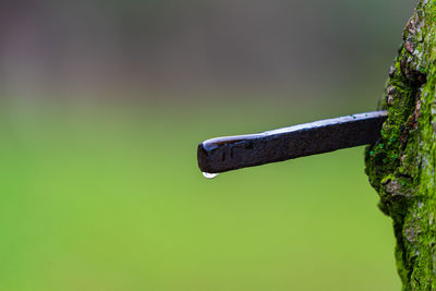 Close-up of rusty metal