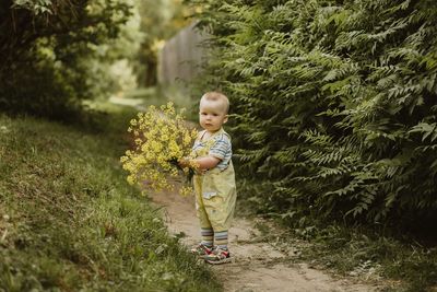 Full length of cute boy holding yellow flowers