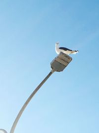 Low angle view of windmill against clear blue sky