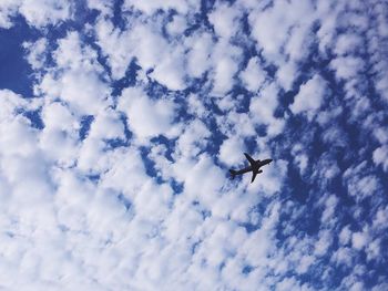 Low angle view of airplane flying in sky