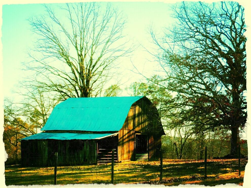 bare tree, tree, built structure, architecture, building exterior, transfer print, abandoned, grass, auto post production filter, clear sky, field, sky, house, blue, old, branch, day, obsolete, landscape, outdoors