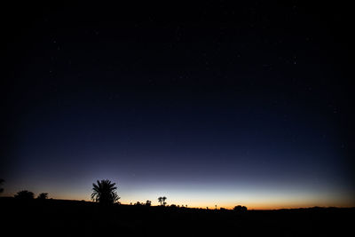 Low angle view of silhouette trees against sky at night