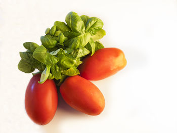 Close-up of tomatoes against white background