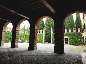 Trees and building seen through arch window