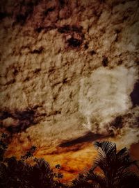 Low angle view of palm trees against dramatic sky