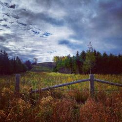 Scenic view of field against sky