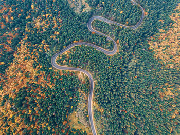 Aerial view of winding road amidst trees in forest during autumn