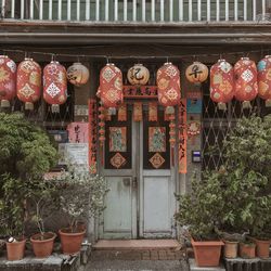 Potted plants hanging outside building