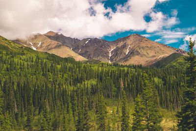 Denali national park, alsaka, nature, landscape, wilderness