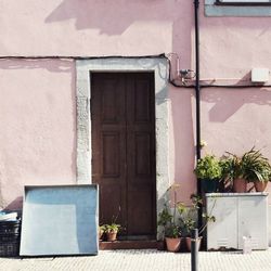 Potted plants on the wall