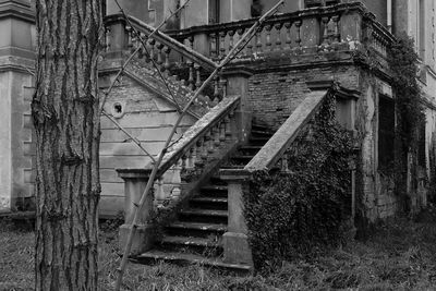 Staircase in building