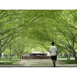 Full length rear view of woman standing on tree trunk