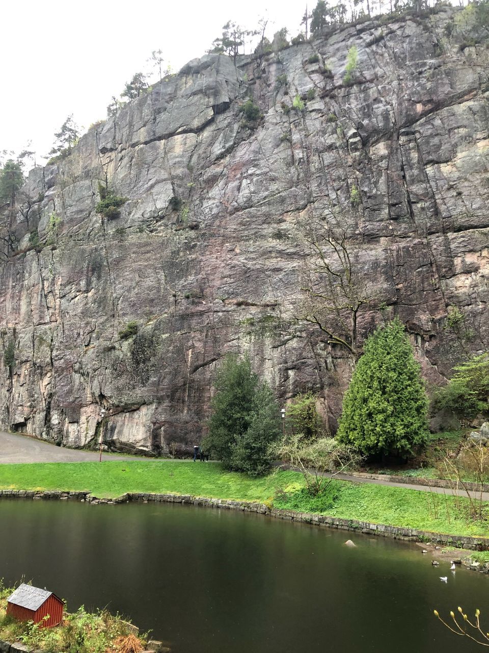 water, rock, rock - object, nature, solid, lake, beauty in nature, plant, tranquility, day, rock formation, tree, no people, scenics - nature, reflection, tranquil scene, geology, mountain, non-urban scene, outdoors, formation, eroded