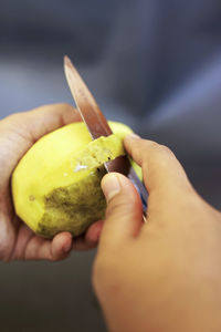 Cropped hands of woman holding apple