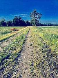 Scenic view of agricultural field against clear sky