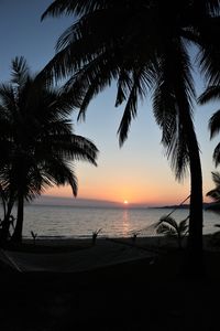 Silhouette palm trees on beach against sky during sunset