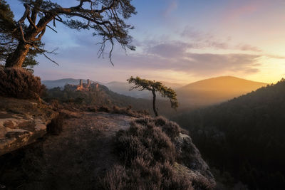 Scenic view of palatinate forest against sky