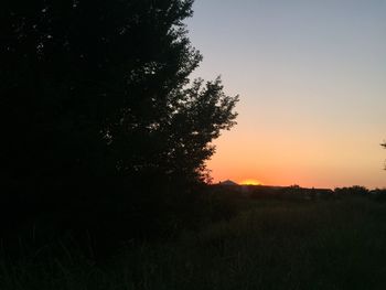 Silhouette tree on field against sky at sunset