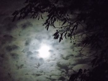 Low angle view of tree against sky