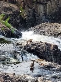 Stream flowing through rocks