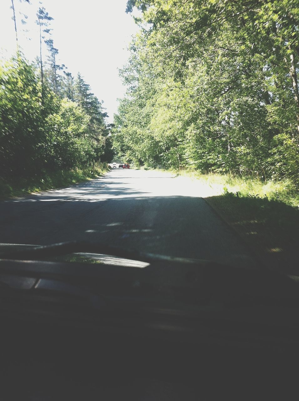 tree, transportation, the way forward, road, growth, diminishing perspective, car, mode of transport, land vehicle, street, green color, clear sky, vanishing point, sunlight, nature, day, no people, road marking, outdoors, plant