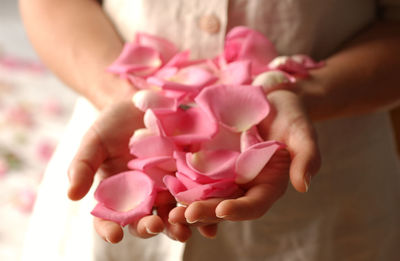 Close-up of hand holding pink roses