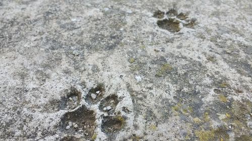 Full frame shot of stone
