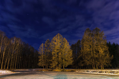 Scenic view of trees against sky at night during winter
