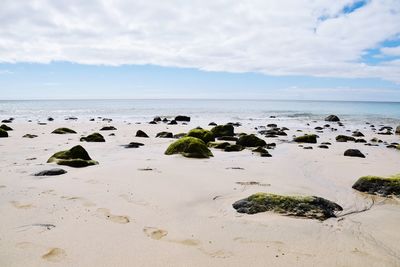 Scenic view of beach against sky