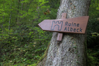 Information sign on tree trunk