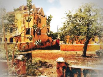 Abandoned building by trees against sky