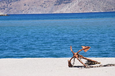 Scenic view of beach