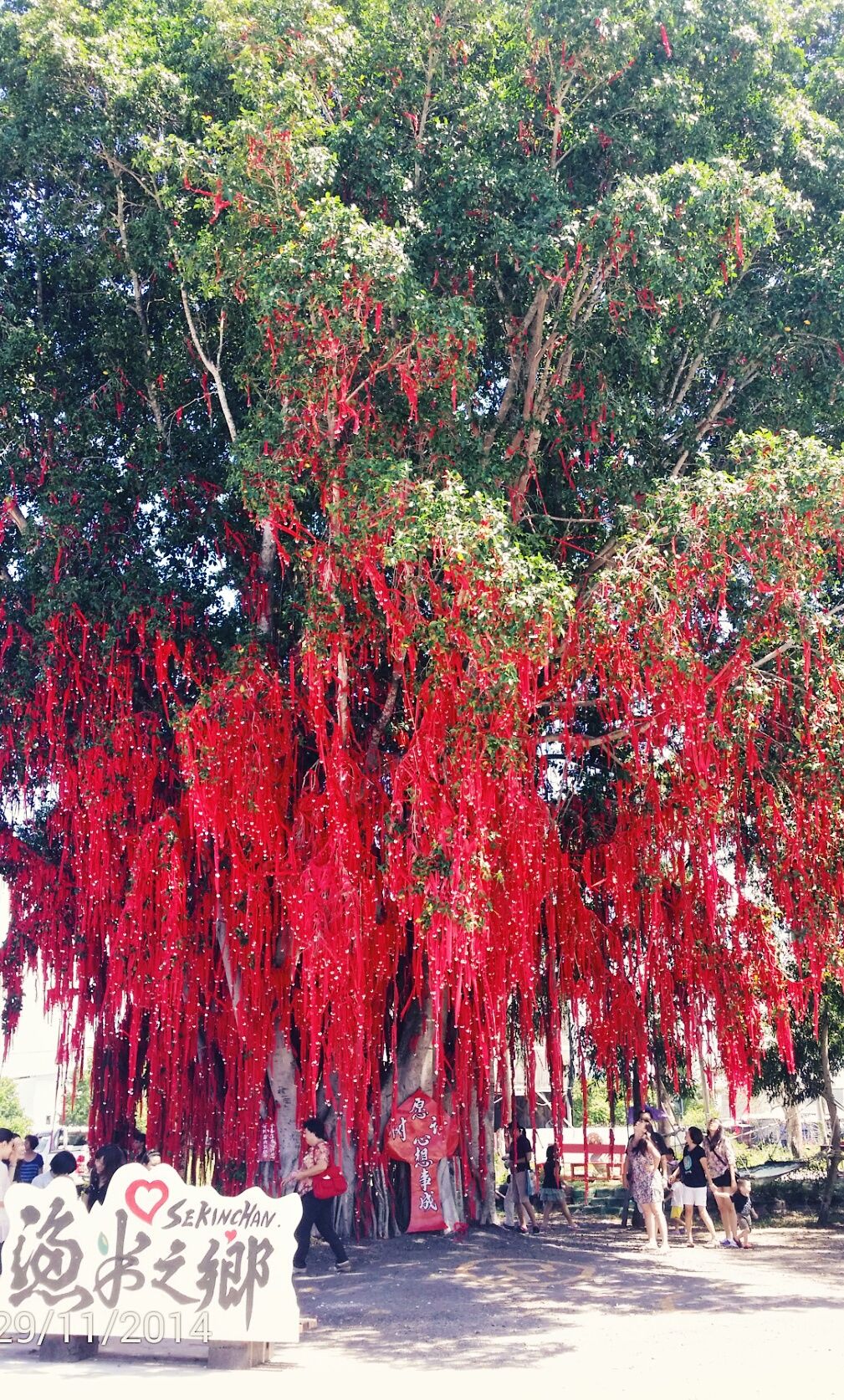 Wishing tree