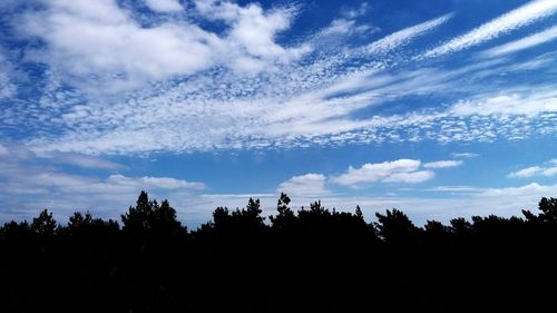 Low angle view of silhouette trees against sky at sunset