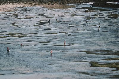 High angle view of people swimming in sea