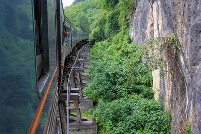 Train passing through plants