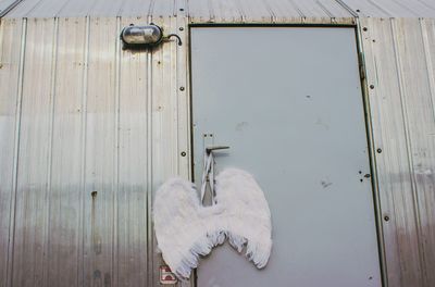 Close-up of tree stump