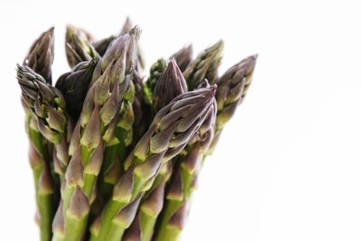 Close-up of vegetables against white background