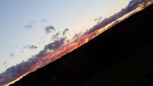 Scenic view of silhouette plants against sky