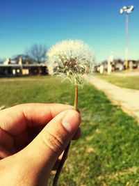 Close-up of person holding dandelion outdoors