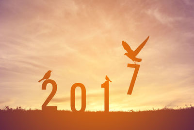 Silhouette birds with number 2017 on field against cloudy sky during sunset