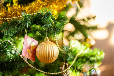 Close-up of christmas tree