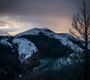 Scenic view of tree mountains against sky at sunset