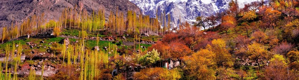 Scenic view of lake in forest during autumn