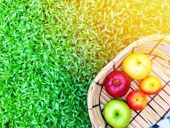 High angle view of fruits in basket