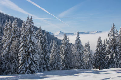 Panoramic view of snow covered mountain against sky