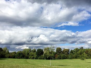 Trees on field against cloudy sky