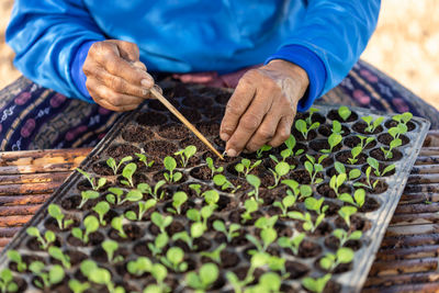 Midsection of woman planting in seeding tray