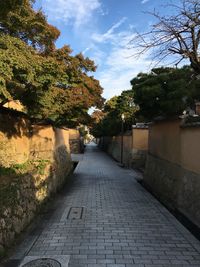 Walkway amidst trees against sky