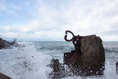 Horse on sea shore against sky